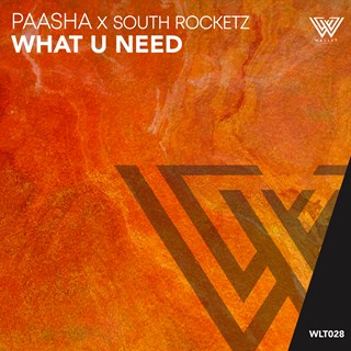 What U Need by Paasha X South Rocketz Download
