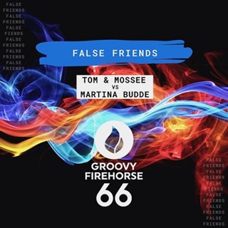 False Friend by Tom & Mossee ft Martina Budde Download