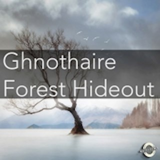 Forest Hideout by Ghnothaire Download