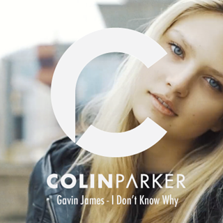 I Dont Know Why by Gavin James & Colin Parker Download
