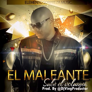 Sube El Volumen by El Maleante Download