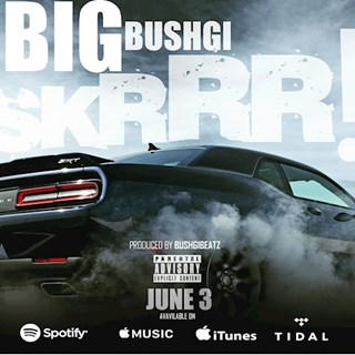 Skrrr by Big Bushgi Download