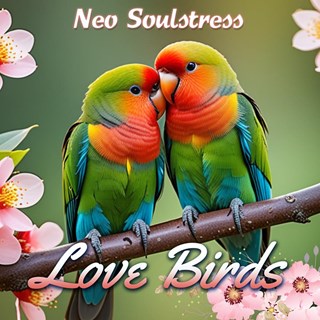 Down 2 Ride by Neo Soulstress Download