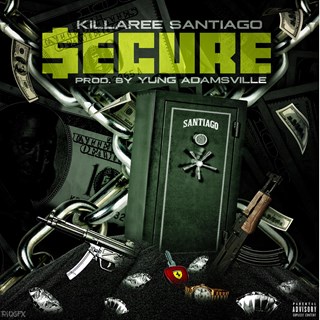 Secure by Killaree Santiago Download