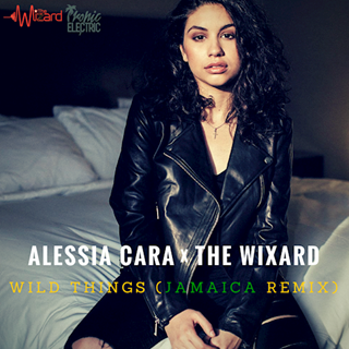 Wild Things by Alessia Cara Download