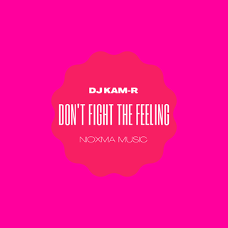 Dont Fight The Feeling by DJ Kam R Download