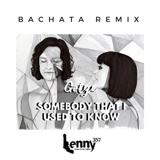 Somebody That I Used To Know by Gotye ft Kimbra Download