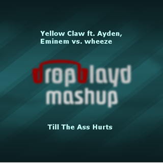 Till The Ass Hurts by Yellow Claw ft Ayden & Eminem vs Wheeze Download