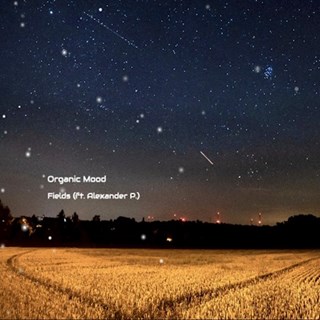 Fields by Organic Mood ft Alexander P Download
