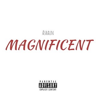 Magnificent by Ashaun Download