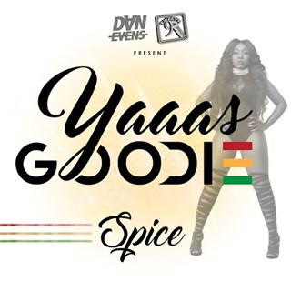 Yaaas Goodie by Spice Download