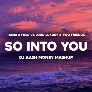 So Into You by Tamia & Free vs Loud Luxury X Two Friends Download