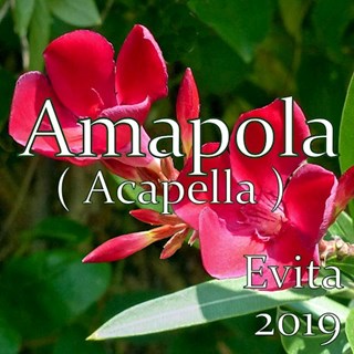 Amapola by Evita Download