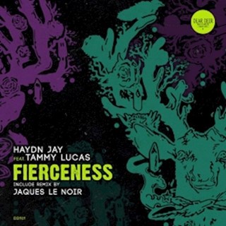 Fierceness by Haydn Jay ft Tammy Lucas Download