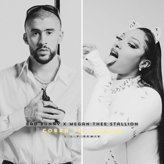 Cobra To Monaco by Bad Bunny X Megan Thee Stallion Download