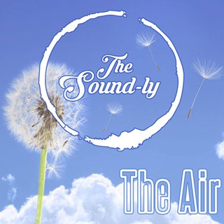 The Air by The Sound Ly Download