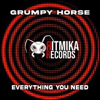 Everything You Need by Grumpy Horse Download