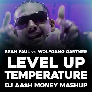 Level Up Temperature by Sean Paul vs Wolfgang Gartner Download