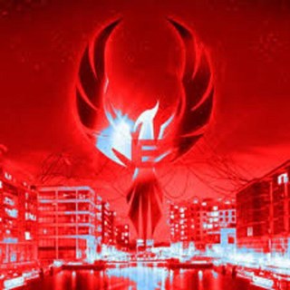 Put Your Hands Up by Tomy Raiders Download