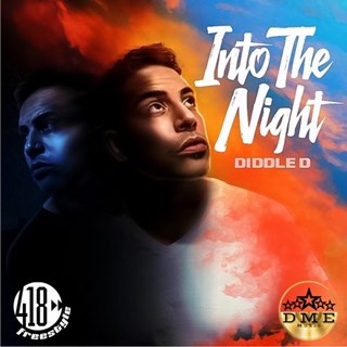 Into The Night by Diddle D Download