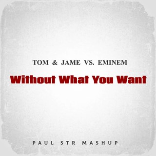 Without What You Want by Tom & Jame vs Eminem Download
