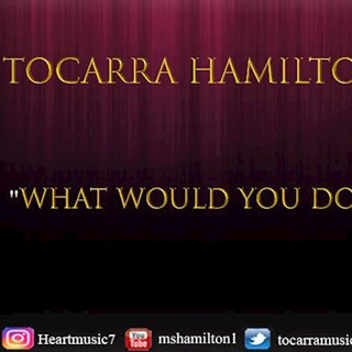 What Would You Do by Tocarra Hamilton Download