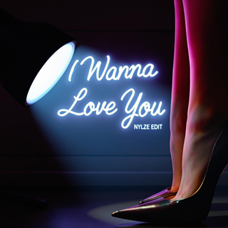 I Wanna Love You by Akon ft Snoop Dogg Download