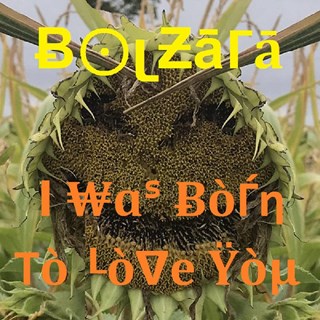 I Was Born To Love You by Bolzara Download