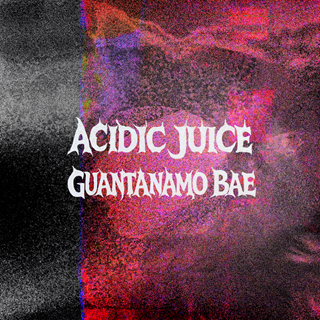 Guantanamo Bae by Acidic Juice Download