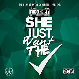 She Just Want The Check by Ricochet Download