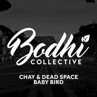 Baby Bird by Chay & Dead Space Download
