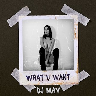 What U Want by DJ Mav Download