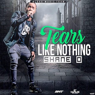 Tears Like Nothing by Shane O Download