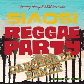 Reggae Party by Siaosi Download