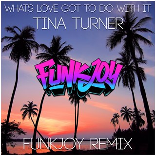 Whats Love Got To Do With It by Tina Turner & Kygo Download