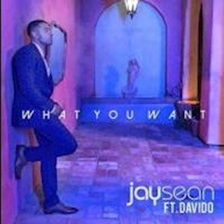 What You Want by Jay Sean ft Davido Download