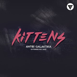 Kittens by Antib & Galaktika Download