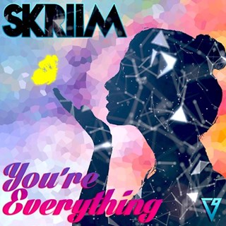 Youre Everything by Skriim Download