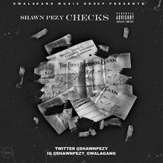 Checks by Shawn Pezy Download