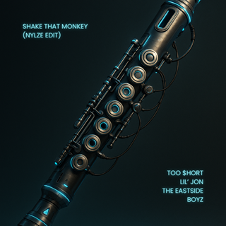 Shake That Monkey by Lil Jon ft Too Short Download