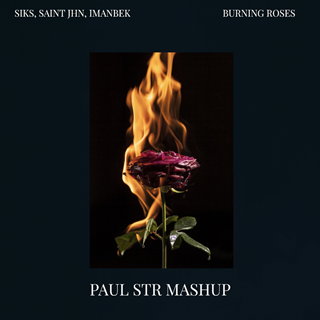 Burning Roses by Siks X Imanbek Download