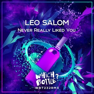 Never Really Liked You by Leo Salom Download