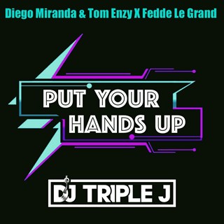 Put Your Hands Up by Diego Miranda & Tom Enzy X Fedde Le Grand Download
