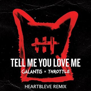 Tell Me You Love Me by Throttle X Galantis Download