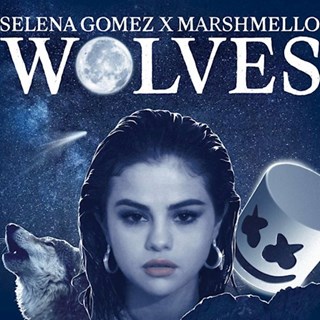 Wolves by Selena Gomez X Marshmello Download
