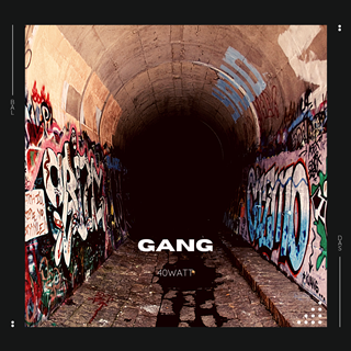 Gang by 40 Watt Download