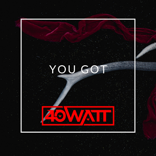 You Got by 40 Watt Download