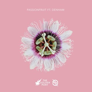 Passionfruit by The Golden Pony ft Denham Download