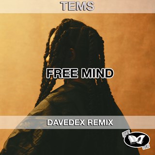 Free Mind Clean by Tems Download