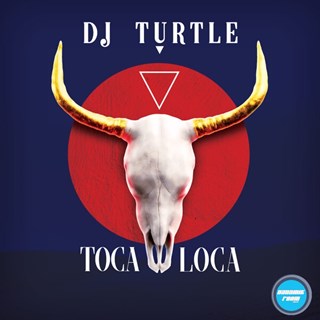 Toca Loca by DJ Turtle Download